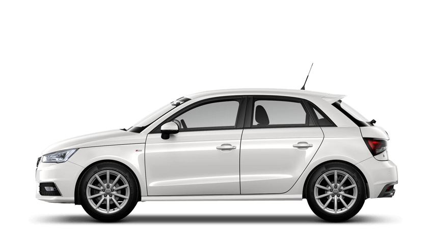 Shell White (Solid)