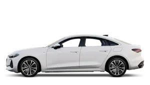 e-hybrid quattro Technik 299PS S Tronic