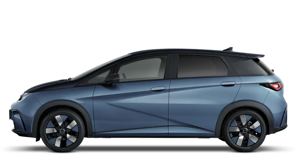 Byd Dolphin