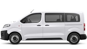 Electric 50kWh Business Edition M 136 Auto 9-seat