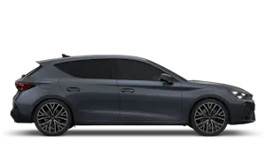 2.0 TSI VZ2 DSG-auto 333