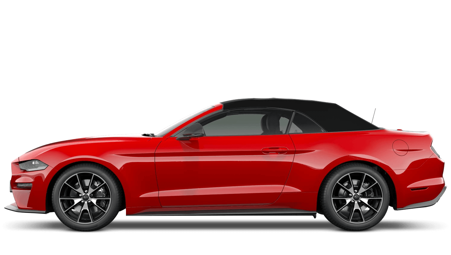 Race Red (Solid)