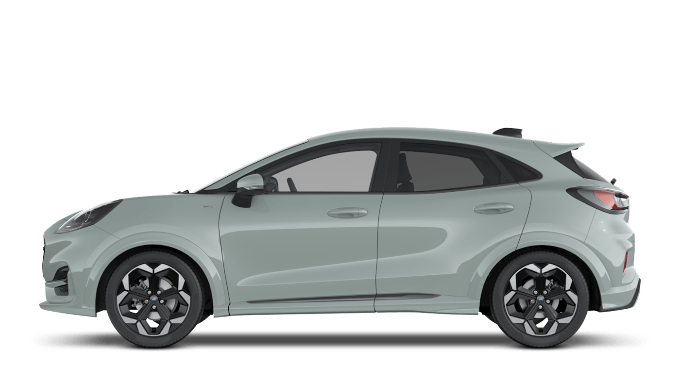 Ford Puma 2024 Cactus Grey Paint Code - Wren Valaria