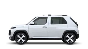 Electric 49kWh 02 115PS Auto