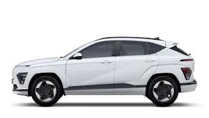 Advance 65kWh 218PS Auto