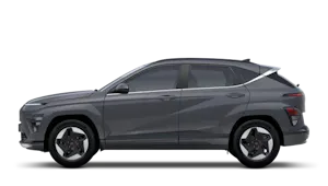 Advance 65kWh 218PS Auto