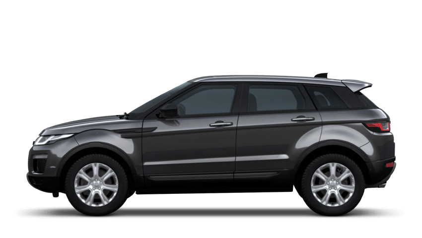 Carpathian Grey (Premium Metallic)
