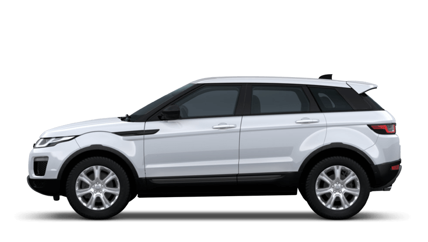 Fuji White (Solid)