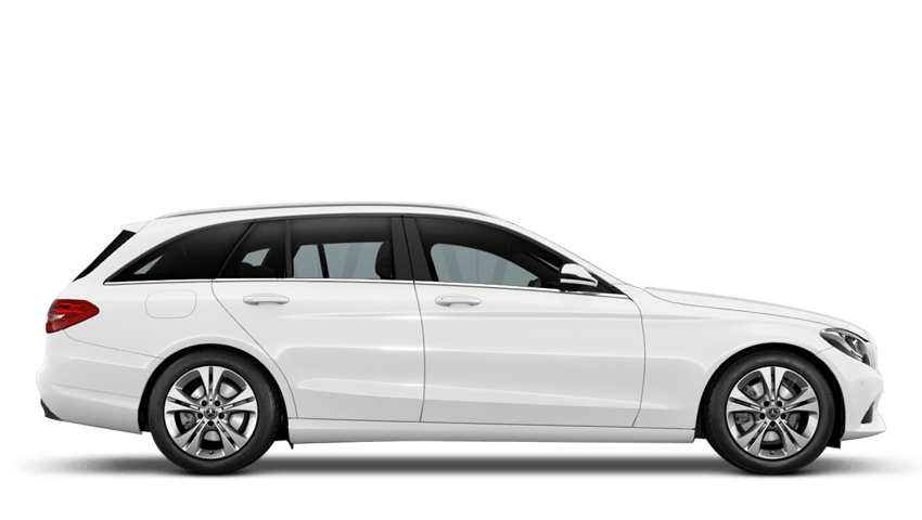 Polar White (Solid)