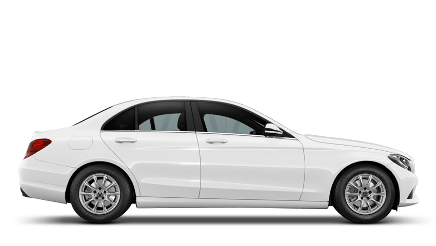 Polar White (Solid)