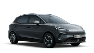 42.8kWh Comfort Standard Range 110kW Auto