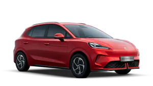 42.8kWh Comfort Standard Range 110kW Auto