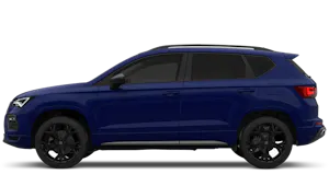 FR Black Edition 1.5 Eco TSI 150PS