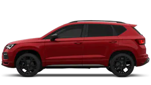 FR Black Edition 1.5 Eco TSI 150PS