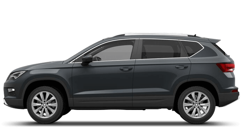 Rhodium Grey (Metallic)