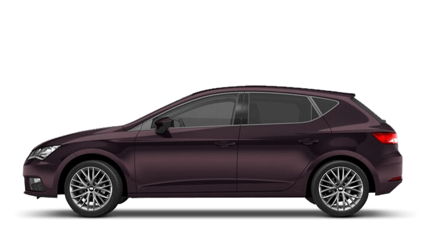 Boheme Purple (Metallic)