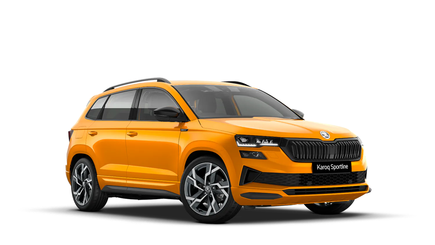 SportLine Edition