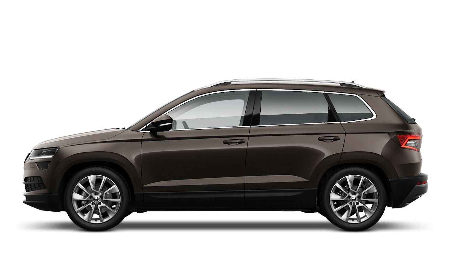 Magnetic brown skoda