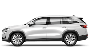 1.5 TSI IV SE L 204PS DSG (5 seat)