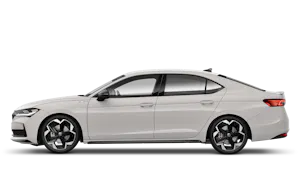 2.0 TSI Sportline 204PS DSG