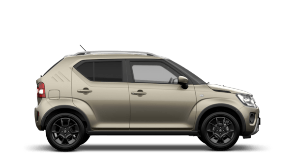 Caravan Ivory with Black Roof (Metallic Dual Tone) Suzuki Ignis