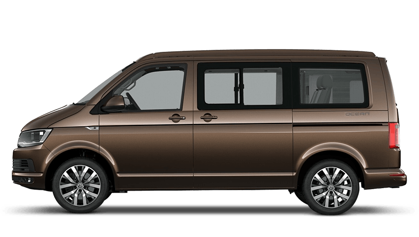 Chestnut Brown (Metallic)